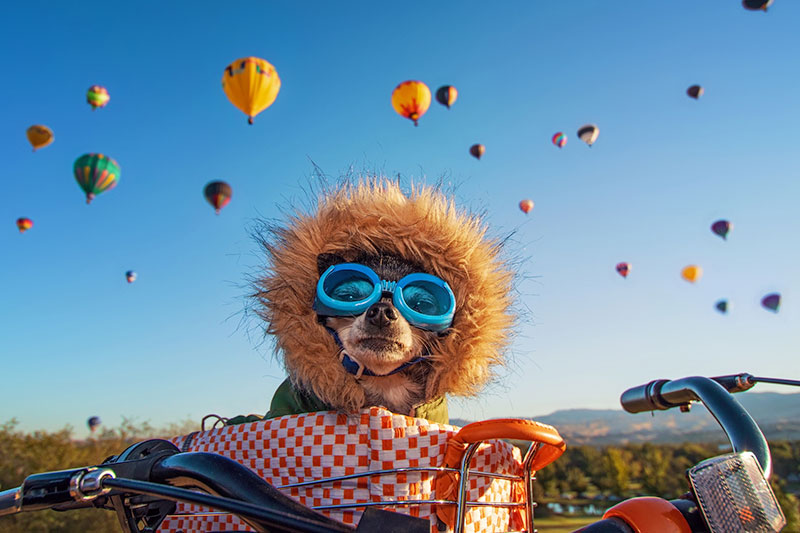 Discover Boise's Vibrant Culture