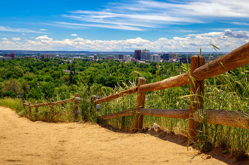 Boise, Idaho: City of Trees